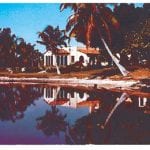 article image -
